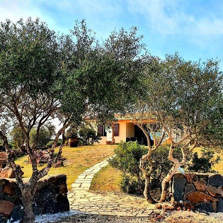 Villini Cortesas Orosei Εξωτερικό φωτογραφία
